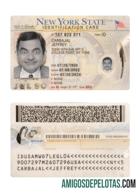 Modelo atual do cartão de identificação dos EUA Nova York 2022